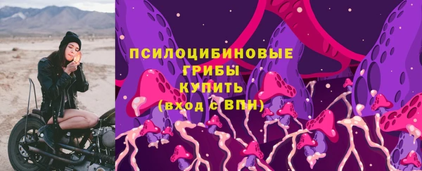 спиды Зеленодольск