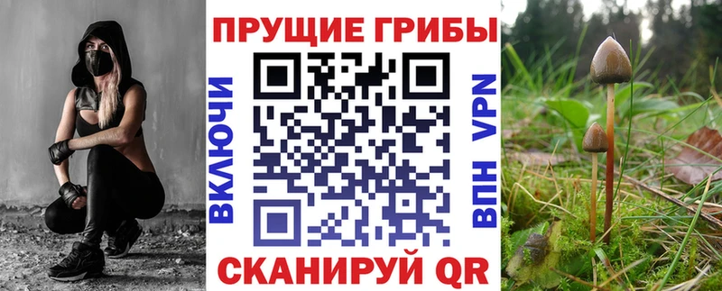 blacksprut ссылка  цены наркотик  Сосновка  Галлюциногенные грибы Cubensis 