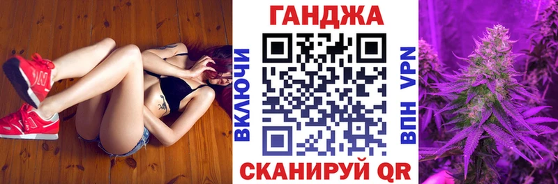 Конопля сатива Сосновка